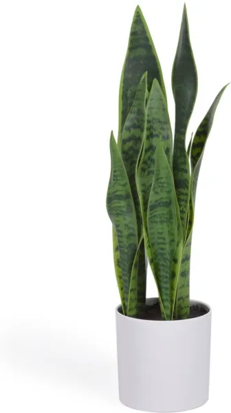 Sansevieria, Kunstpflanze, weiß, H55x18x19 cm